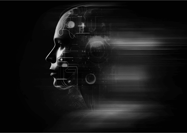 National Digital Services Portal